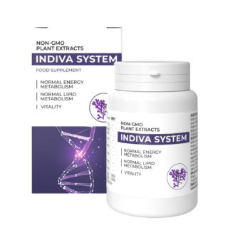 InDiva System